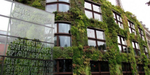 Ekologická architektura: přehled úžasných projektů, které jsou v souladu s přírodou